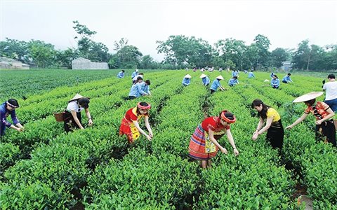 Sửa đổi Luật Quy hoạch đô thị và nông thôn phù hợp với chính quyền địa phương 02 cấp