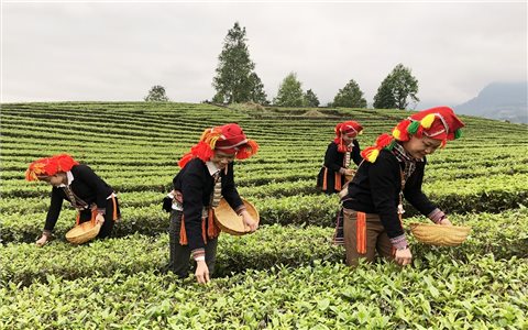 Lào Cai phấn đấu hết năm 2025 có gần 500 thôn ra khỏi diện đặc biệt khó khăn