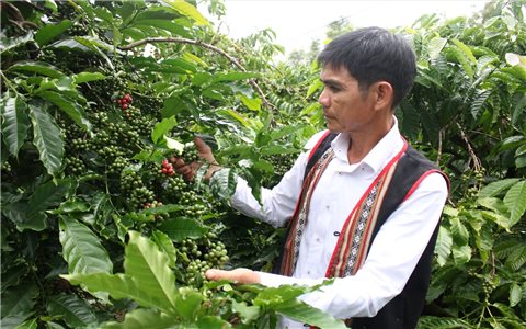 Nêu gương, Người có uy tín A Nẻo trở thành tỷ phú ở làng Đăk Kang Yốp