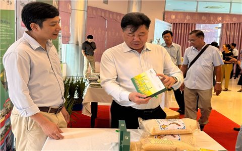 Mô hình lúa chuyên canh chất lượng cao ở ĐBSCL đạt lợi nhuận trên 36 triệu/ha