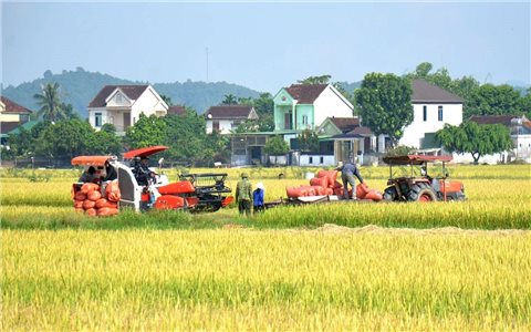 Xác định hướng phát triển bền vững cho nông sản xứ Nghệ