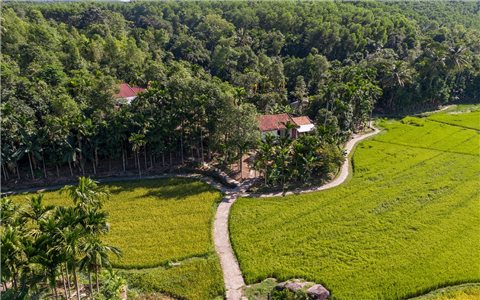 Lộc Yên - Làng cổ trăm năm thức giấc giữa hiện đại