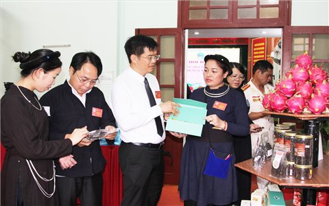 Phát triển sản xuất nông nghiệp bền vững từ Chương trình MTQG 1719
