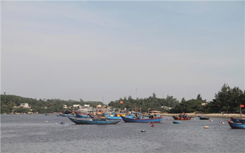 Quảng Ngãi cấm tàu thuyền ra biển từ chiều 27/9, khẩn trương triển khai ứng phó bão số 10