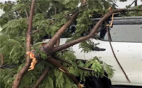 Đà Nẵng: Kịp thời cứu 6 người mắc kẹt trong ô tô bị cây đổ đè