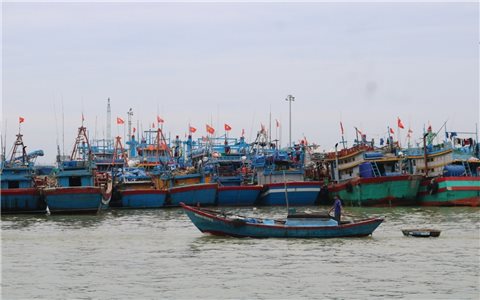 Gia Lai một tàu cá với 8 lao động bị mất liên lạc do ảnh hưởng của bão số 10