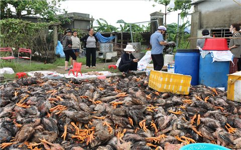 Sau bão số 10 nhiều gia đình ở Nghệ An trắng tay, nợ nần chồng chất