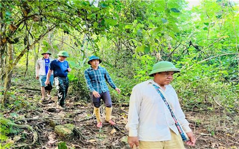 Chòng chành con chữ trên dòng Nậm Nơn