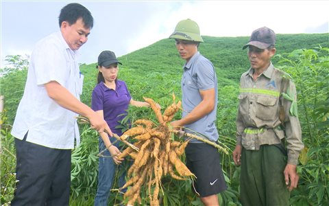 Tạo sinh kế bền vững cho người dân miền núi xứ Thanh
