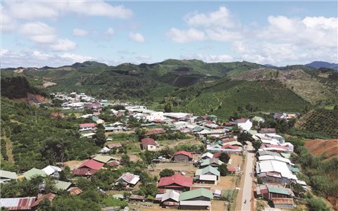 Bon làng bừng sức sống