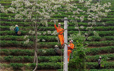 Lời chào năm mới từ những người giữ dòng điện miền Bắc
