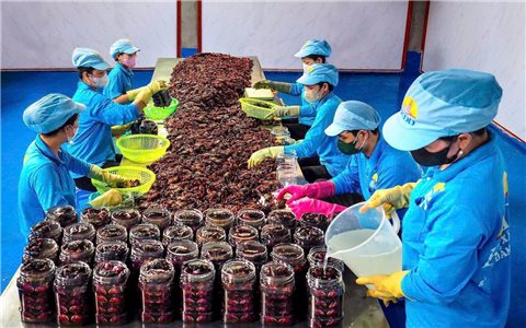 Đặc sản Cà Mau vươn ra biển lớn