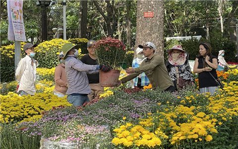 “Bùng nổ” chợ hoa Tết online