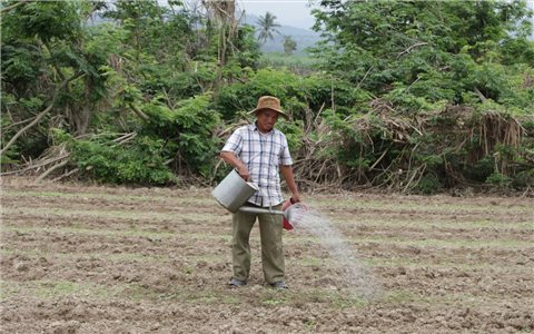 Nhịp sống trở lại nơi vùng hạ lưu sông Ba Hạ sau lũ dữ