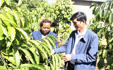 Những Bí thư chi bộ trẻ góp sức làm thay đổi nơi vùng cao Quảng Ngãi