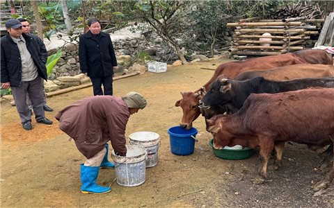 Quảng Ninh chủ động chống rét cho cây trồng, vật nuôi