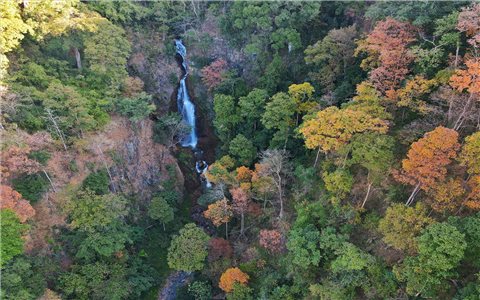 Chiêm ngưỡng bức tranh thiên nhiên đa sắc màu nơi cung đèo Măng Đen