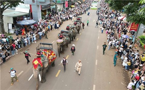 Lễ hội sầu riêng Krông Pắc nâng quy mô cấp tỉnh
