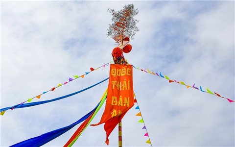 Thành nhà Hồ dựng nêu đón Tết, lan tỏa hồn Xuân Tây Đô