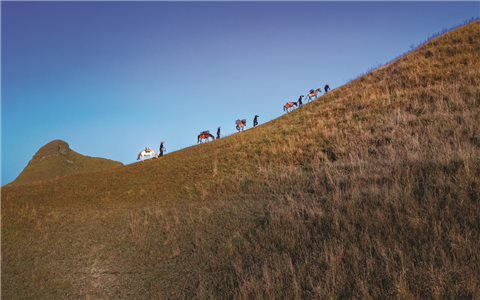 Xuân gọi nắng trên miền biên viễn Cao Bằng