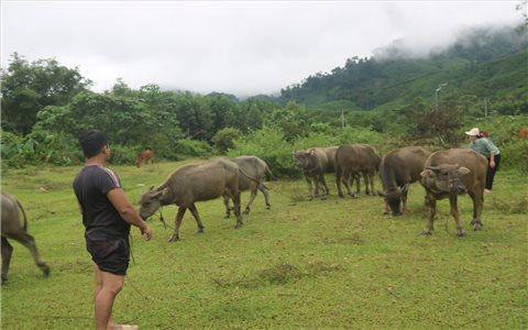 Đà Nẵng ưu tiên nguồn lực phát triển kinh tế - xã hội vùng đồng bào DTTS và miền núi