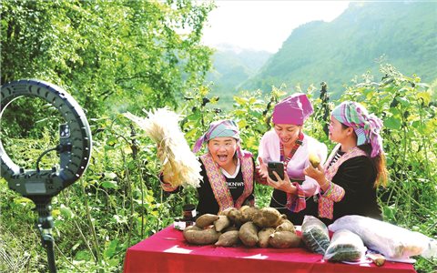 Gùi "mùa Xuân" xuống phố