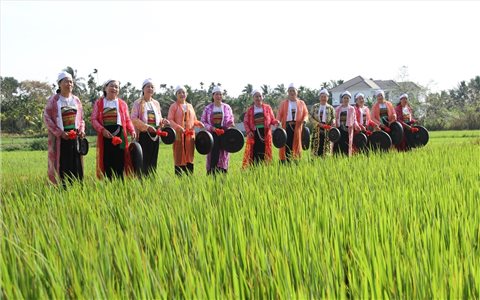 Người Mường mở hội hạ nêu tại ngôi đình tọa lạc giữa cánh đồng