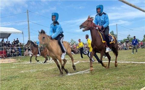 Màn tranh tranh tài hấp dẫn của những “kỵ mã thồ hàng” ở Gò Thì Thùng