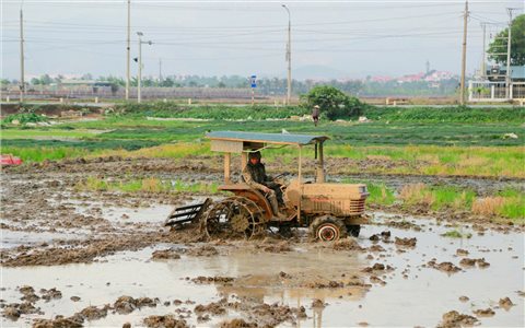 Sôi động bức tranh lao động sản xuất nơi đất Mỏ