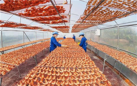 Làng nghề đặc sản miền Tây nhộn nhịp những ngày cận Tết