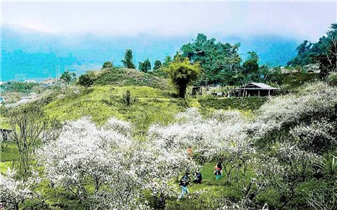 Mường Lống - nơi mùa Xuân đến sớm