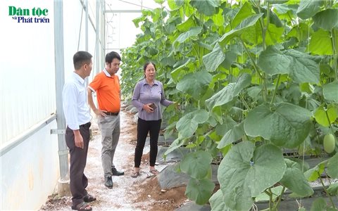 Những đảng viên tiên phong ở vùng cao