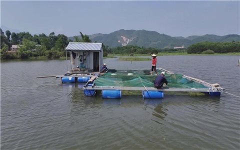 Hộ đồng bào DTTS A Lưới tìm hướng thoát nghèo từ nuôi cá lồng trên sông giáp biên
