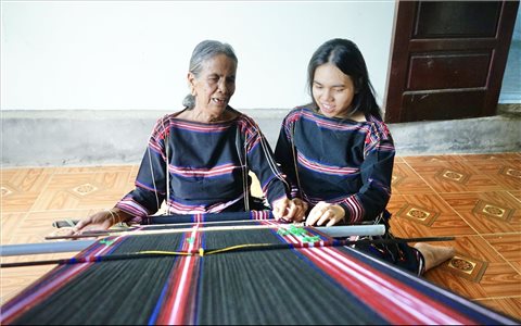 Những “cây đại thụ” ở biên giới Gia Lai