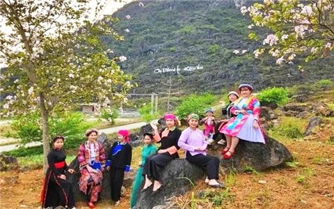 Khâu Vai - Điểm hẹn hấp dẫn mùa hoa trên cao nguyên đá