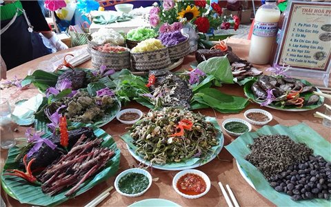 Rau đồ- chinh phục thực khách bằng vị ngọt nguyên sơ của núi rừng