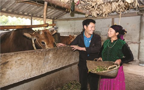 Đổi thay trên vùng đất khó