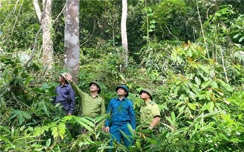 Thanh Hóa: Đồng bào DTTS "câu cơm" từ rừng