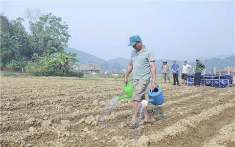 Xen canh rau màu trên đất lúa một vụ, nông dân Điên Biên phấn khởi vì có thêm thu nhập