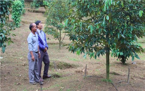 Khánh Hòa đề xuất cho phép được điều chuyển nguồn vốn sự nghiệp trong thực hiện chính sách dân tộc