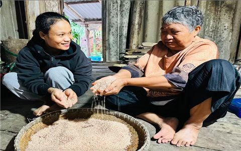 Đồng bào Chăm, Ba Na giữ sinh kế cha ông để lại từ “hạt ngọc trời”