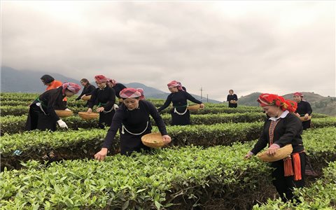 Đến cuối năm 2025, tỷ lệ hộ nghèo của tỉnh Lào Cai giảm còn 5,5%