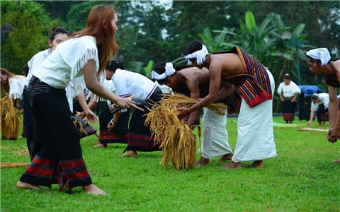 Trải nghiệm nghi thức mừng lúa mới của đồng bào Chu Ru