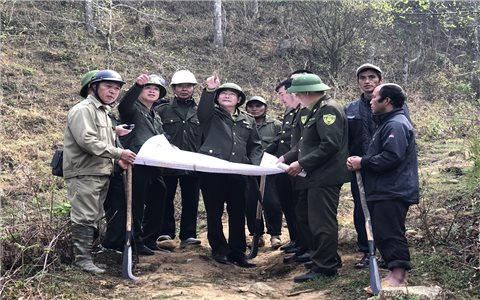 Lào Cai đang quyết liệt phòng chống cháy rừng từ sớm, từ xa