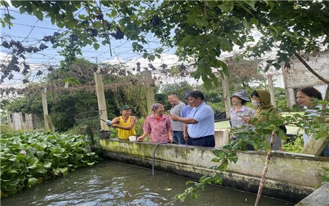 Biến phụ phẩm thành nguồn lực: Nông nghiệp tuần hoàn mở lối sinh kế mới cho nông dân