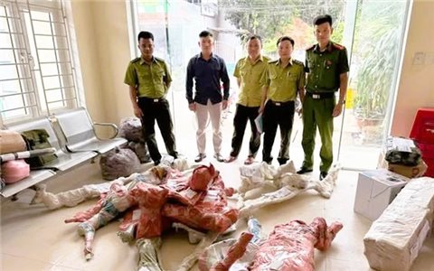 Thanh Hóa: Phát hiện, thu giữ 15 phôi cây Muội hồng tại bưu điện