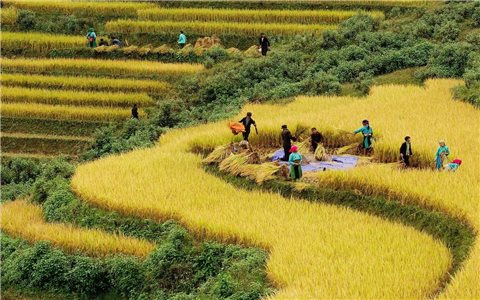 Nguyên tắc, tiêu chí, định mức phân bổ ngân sách Trung ương Chương trình MTQG giai đoạn 2026 - 2030