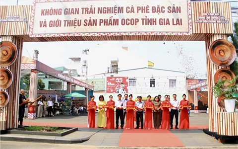 Trải nghiệm, khám phá trọn vẹn giá trị của hạt cà phê Gia Lai