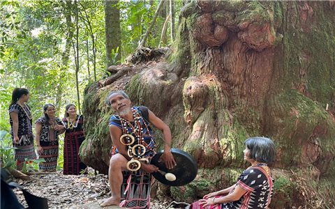 Gìn giữ hồn rừng, lan tỏa giá trị văn hóa Cơ Tu