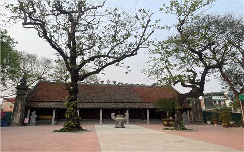 Vướng giải phóng mặt bằng, dự án Thái miếu nhà Hậu Lê gần 10 năm vẫn chưa về đích